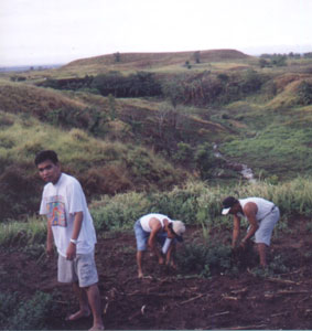 Doing farm work in Isabela