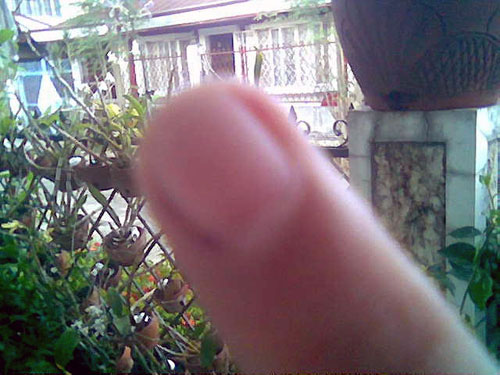 After washing with soap, water and a soft brush (May 14, 2007, Marikina Heights) After washing with soap, water and a soft brush (May 14, 2007, Marikina Heights)