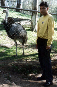 Me with an emu at Adelaide Zoo